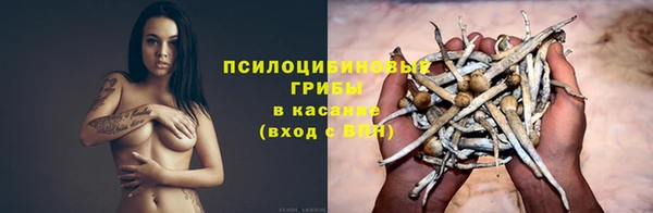 PSILOCYBIN Алексеевка