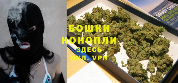 сатива Алексин