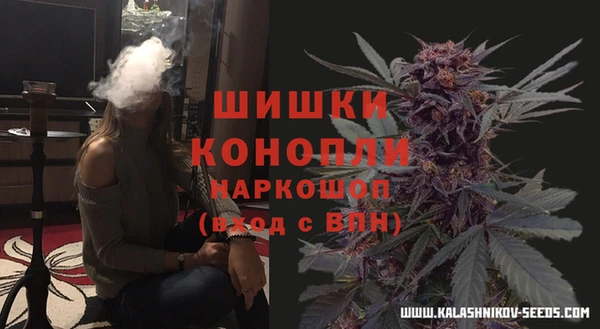PSILOCYBIN Алзамай